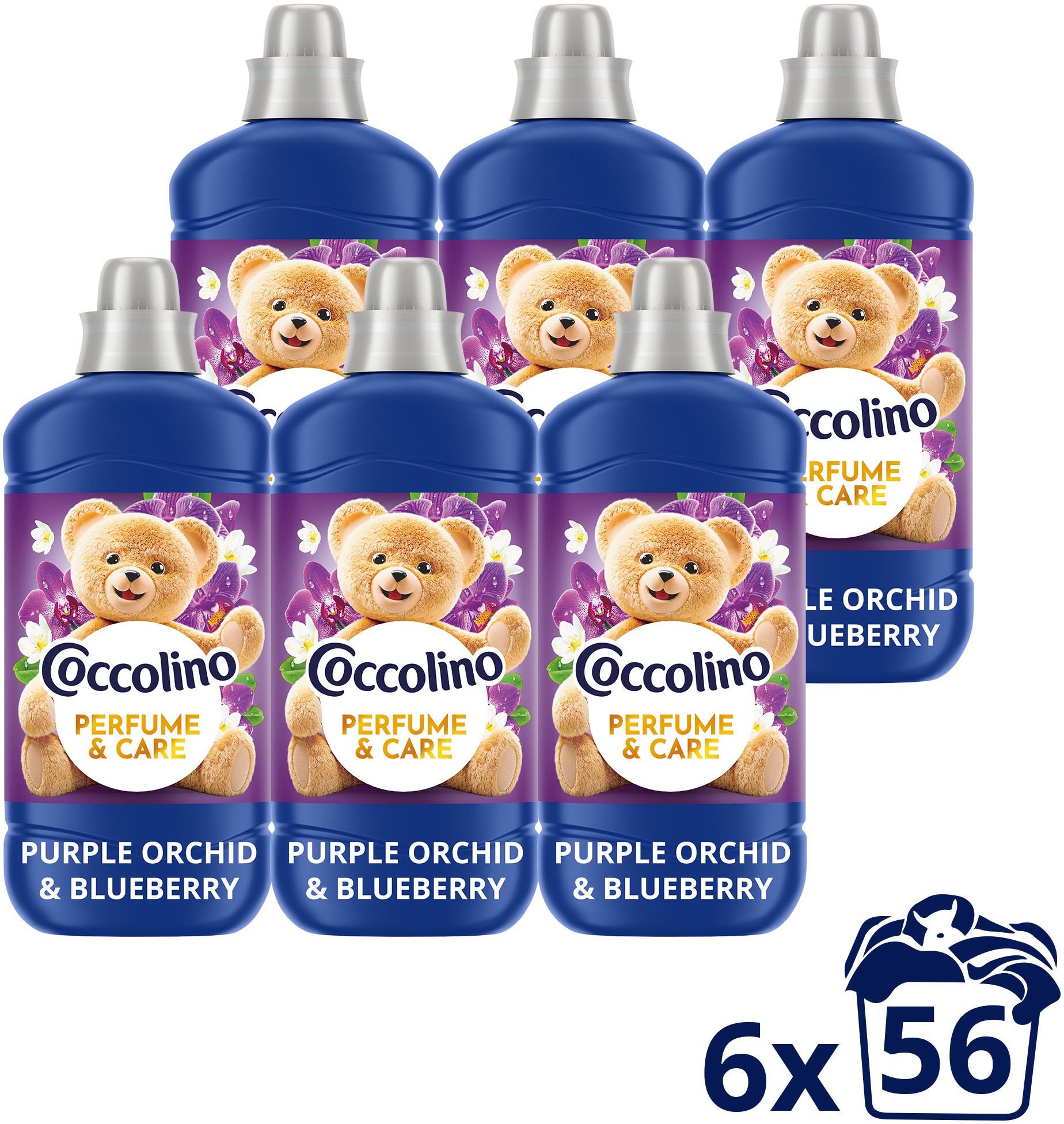 COCCOLINO Purple Orchid & Blueberry 6× 1,288 l (56 praní)