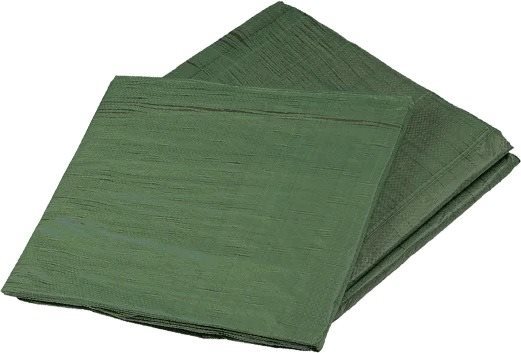 DEN BRAVEN Zakrývacia plachta s kovovými okami Profi zelená 4 × 5 m, 120 g/m2