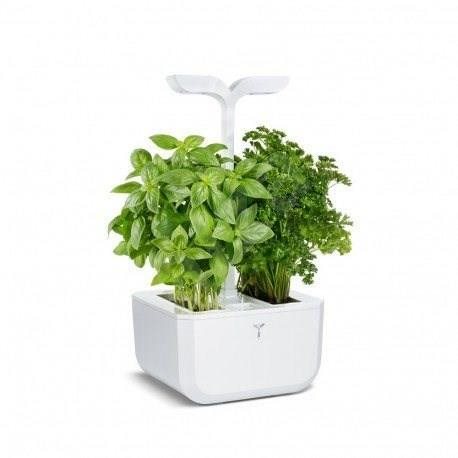 Exky Smart – Automatický kvetináč s reguláciou osvetlenia, biely + 2 bylinkové náplne