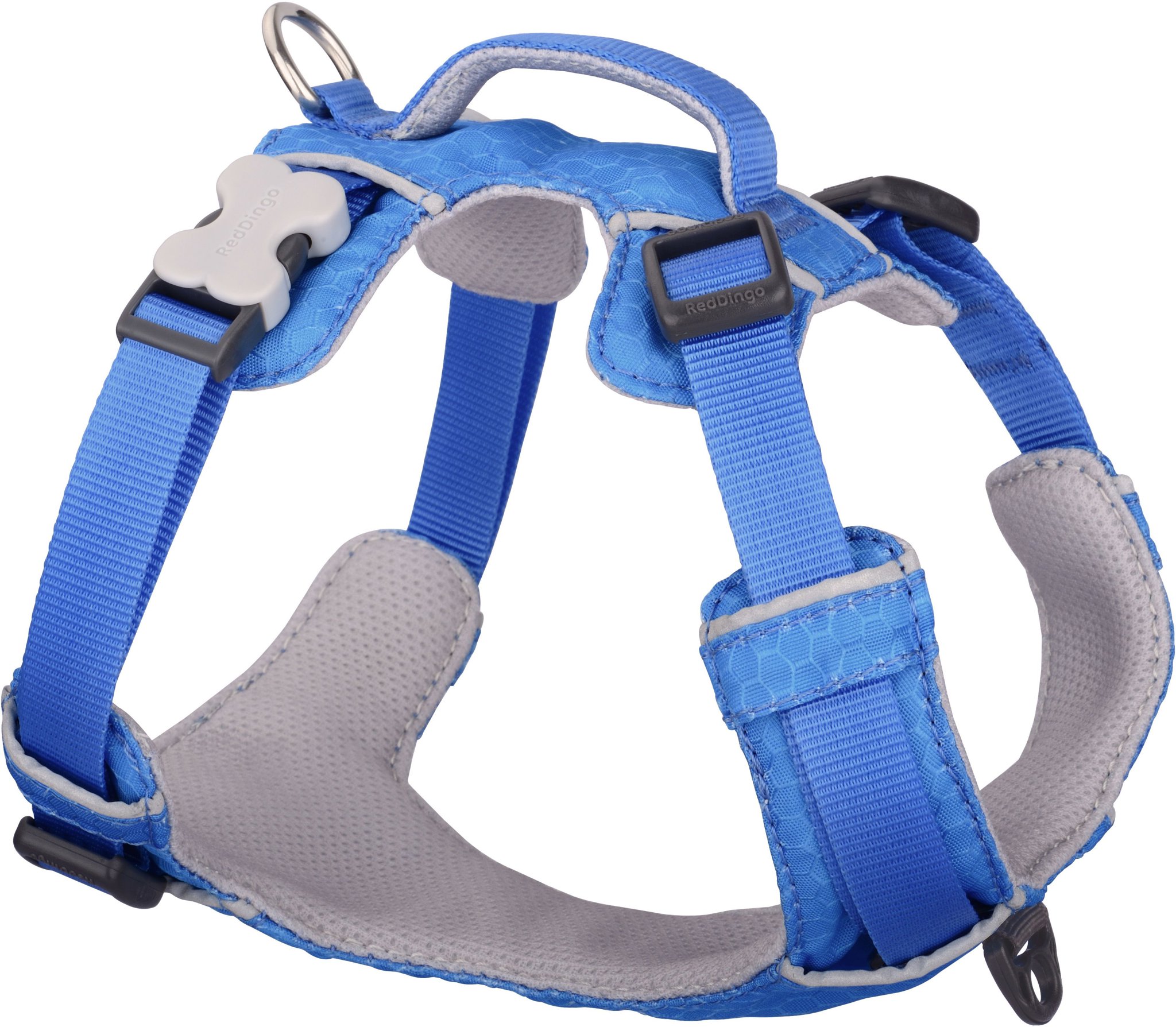Red Dingo postroj Sport Electric Blue 12 mm × 31 – 43 cm
