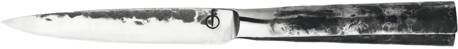 FORGED Intense Universální nůž, délka: 250 mm, šířka: 25 mm