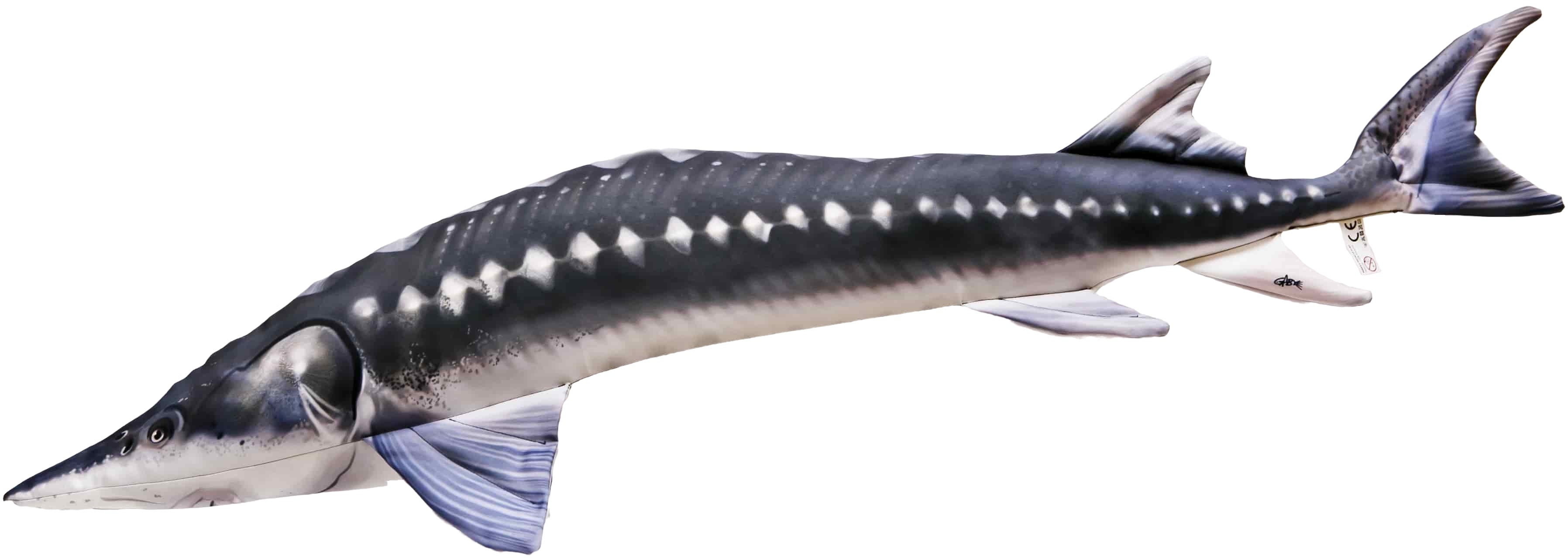 Gaby Vankúš Jeseter veľký 120 cm