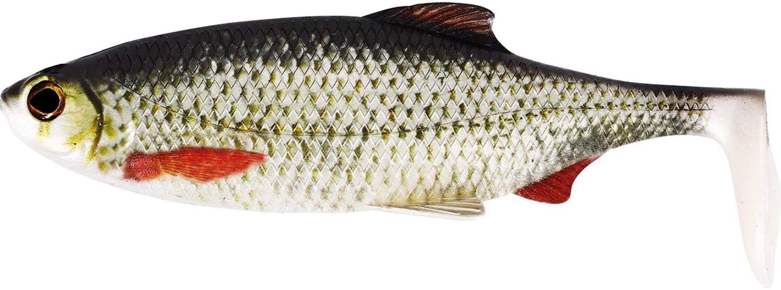 Westin Ricky the Roach Shadtail 14 cm, 42 g, Real Roach