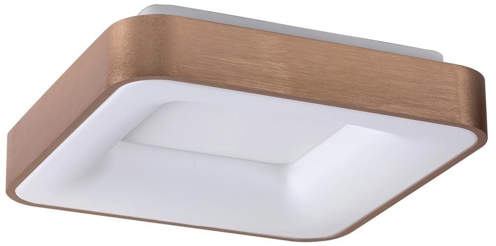 Rabalux – LED Stropné svietidlo CARMELA LED/30 W/230 V