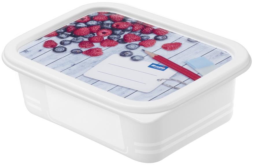 ROTHO Súprava dóz do mrazničky Domino 4× 0,5 l