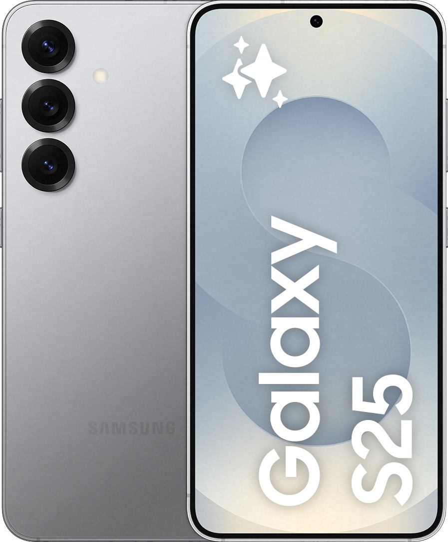 Samsung Galaxy S25 12 GB/512 GB Silver Shadow