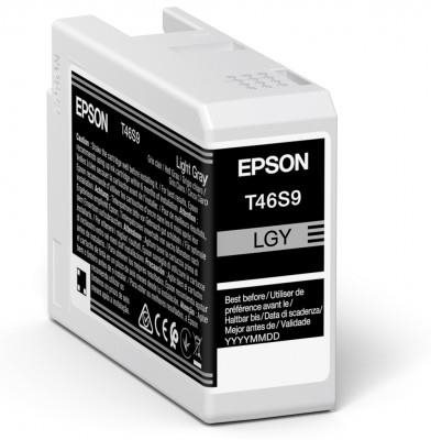 Epson T46S9 matná sivá
