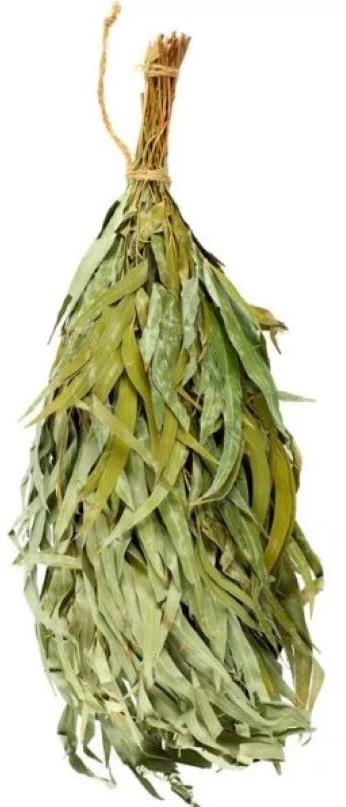 Natur – metla do sauny sušený eukalyptus