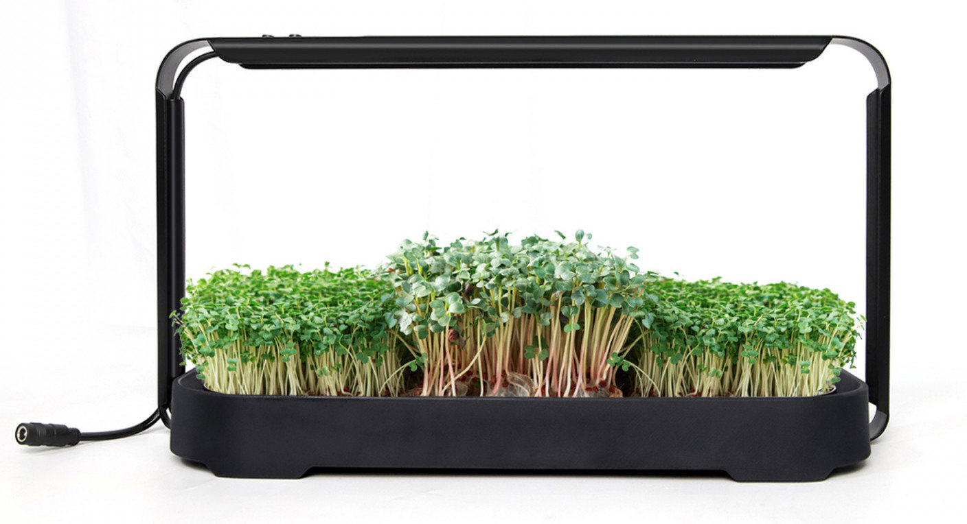 Bentech GreenBoost set pro pěstování microgreens
