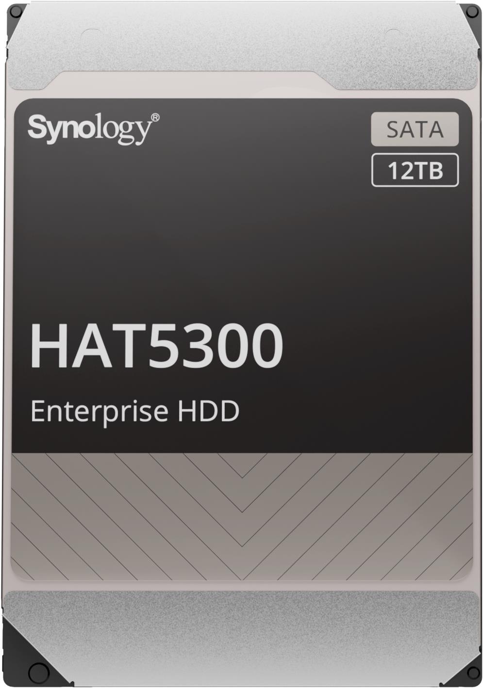Synology HAT5300-12T