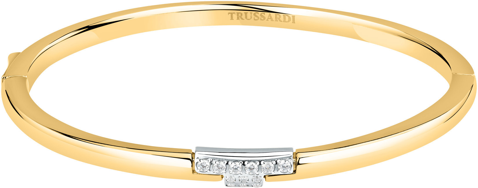 TRUSSARDI T-LOGO TJAXC18