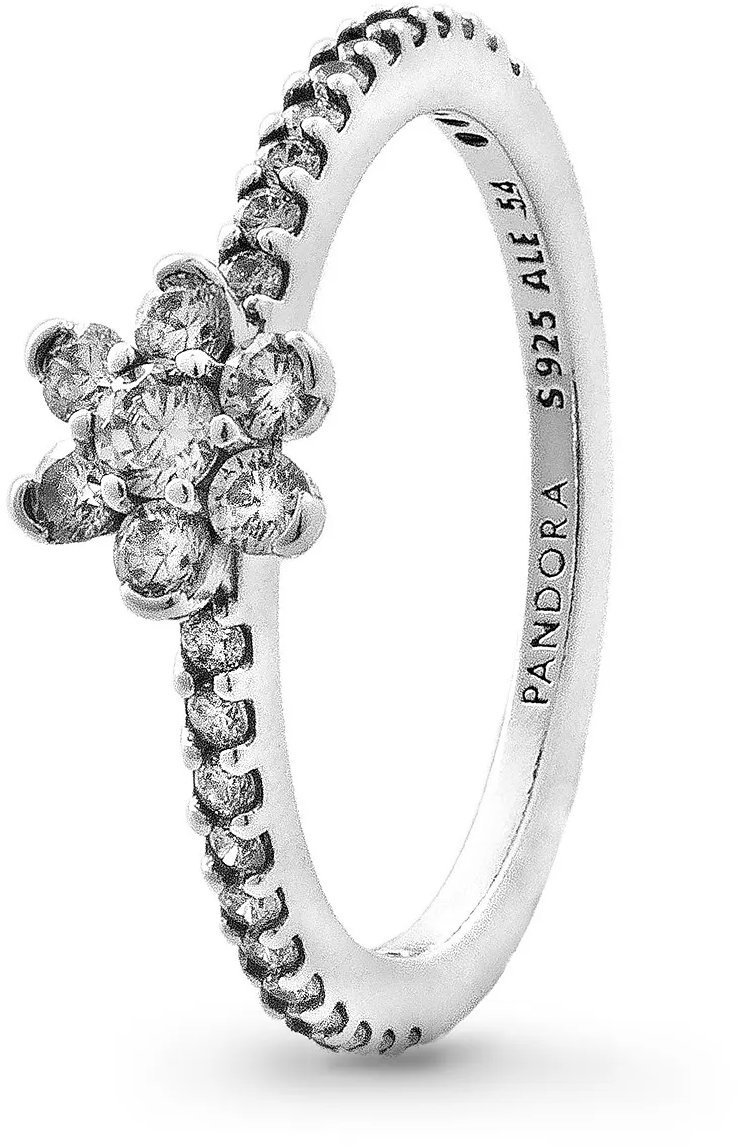 PANDORA Moments 194499C01-54 (Ag 925/1000, 1,91 g)