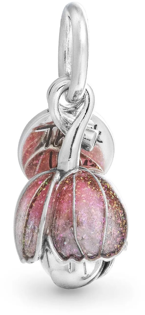 PANDORA Moments 764453C01 (Ag 925/1000 2,26 g)