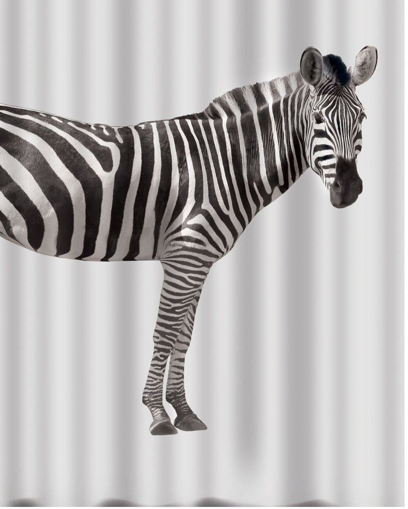Spirella sprchový záves ZEBRA, bielo-čierny, 180 × 200 cm, polyester