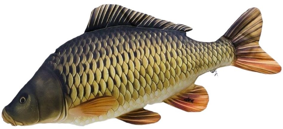 Gaby Vankúš Kapor šupináč 100 cm