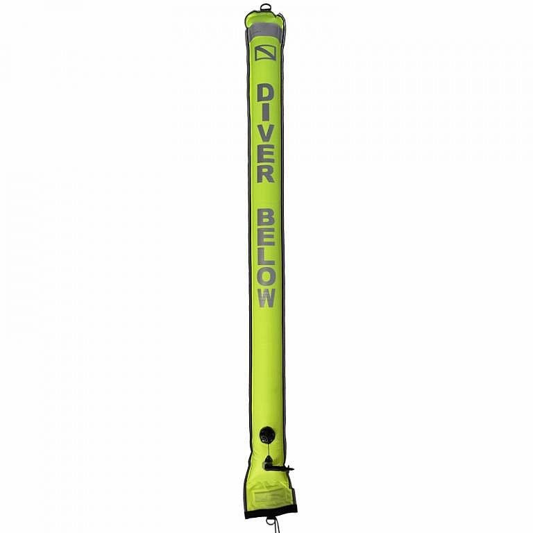 Agama YELLOW 18/180 cm
