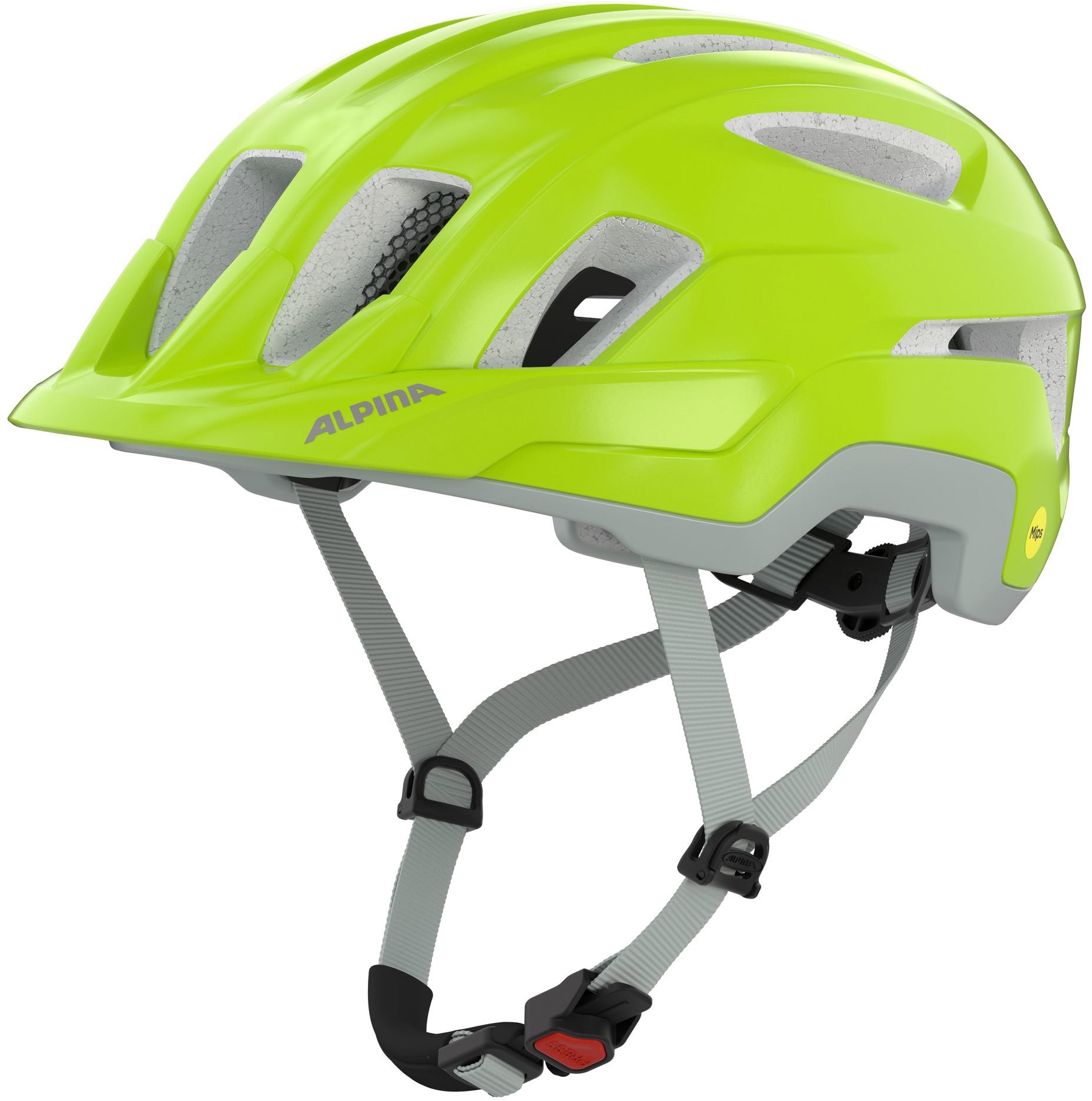 Alpina Paranus MIPS be-visible grey matt 55 – 59 cm