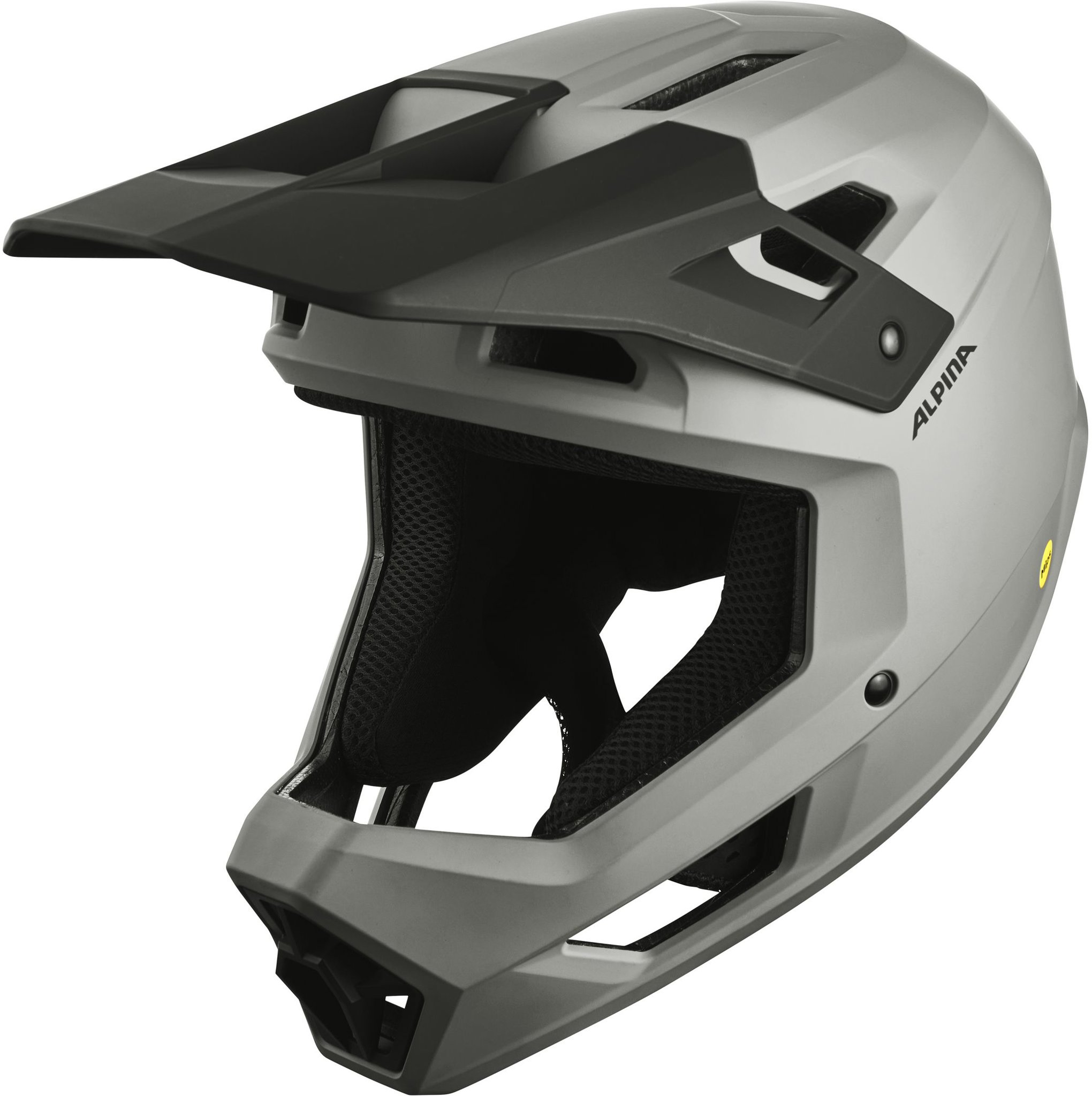 Alpina Pikes MIPS smoke grey matt L