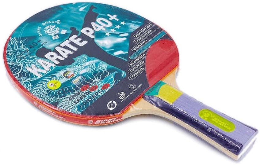 Giant Dragon Karate P40+