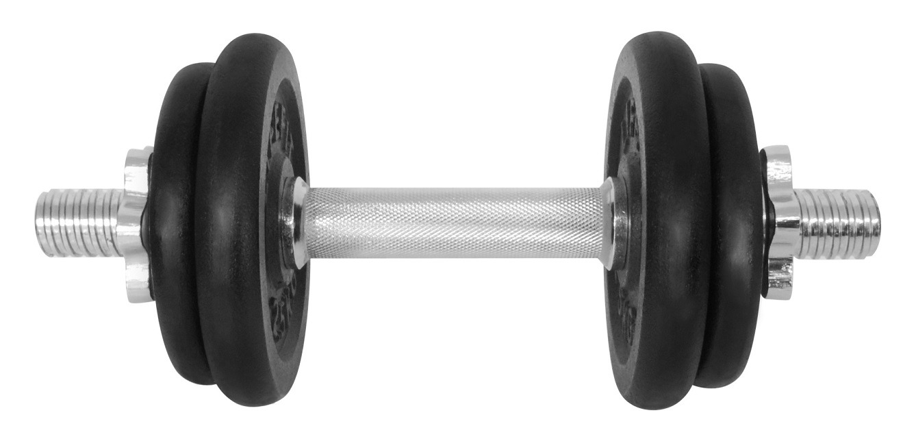 LifeFit Činka 10 kg, 4× kotúč