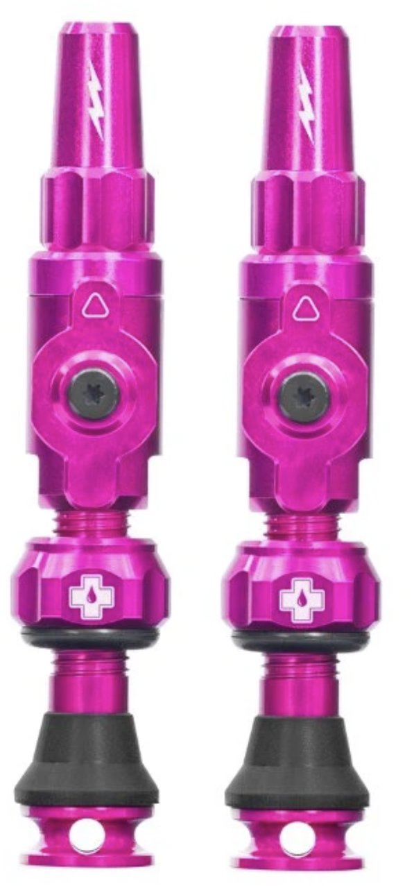 Big Bore Hybrid Tubeless Valves Pink Medium