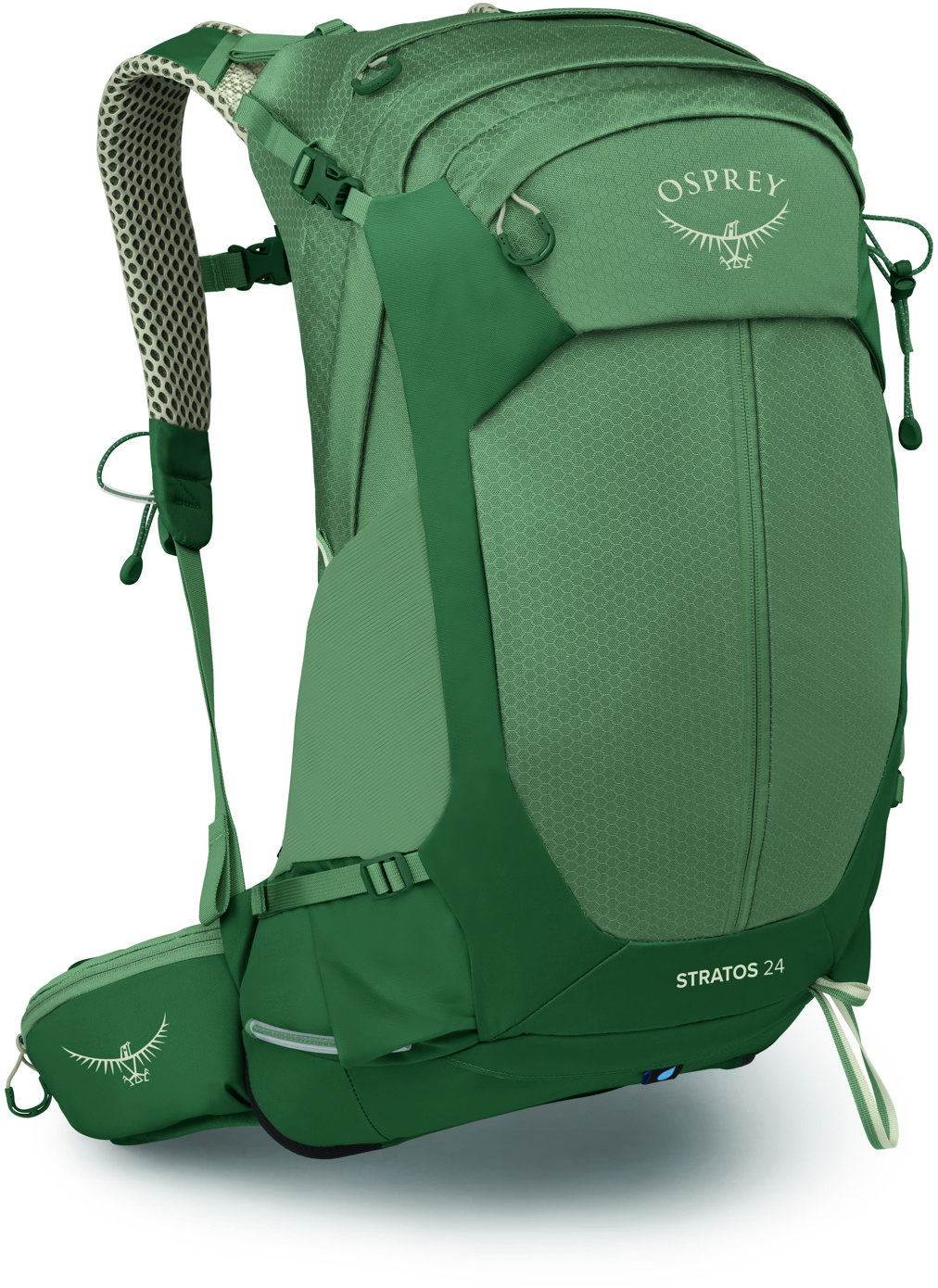 Osprey Stratos 24 Pine Leaf Green