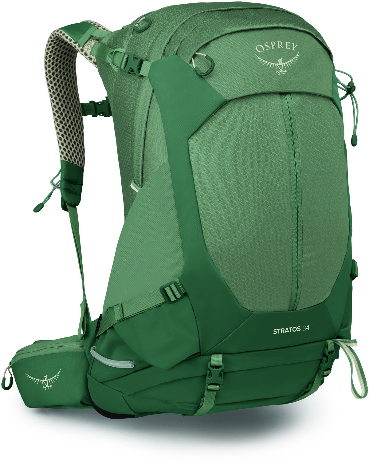 Osprey Stratos 34 Pine Leaf Green