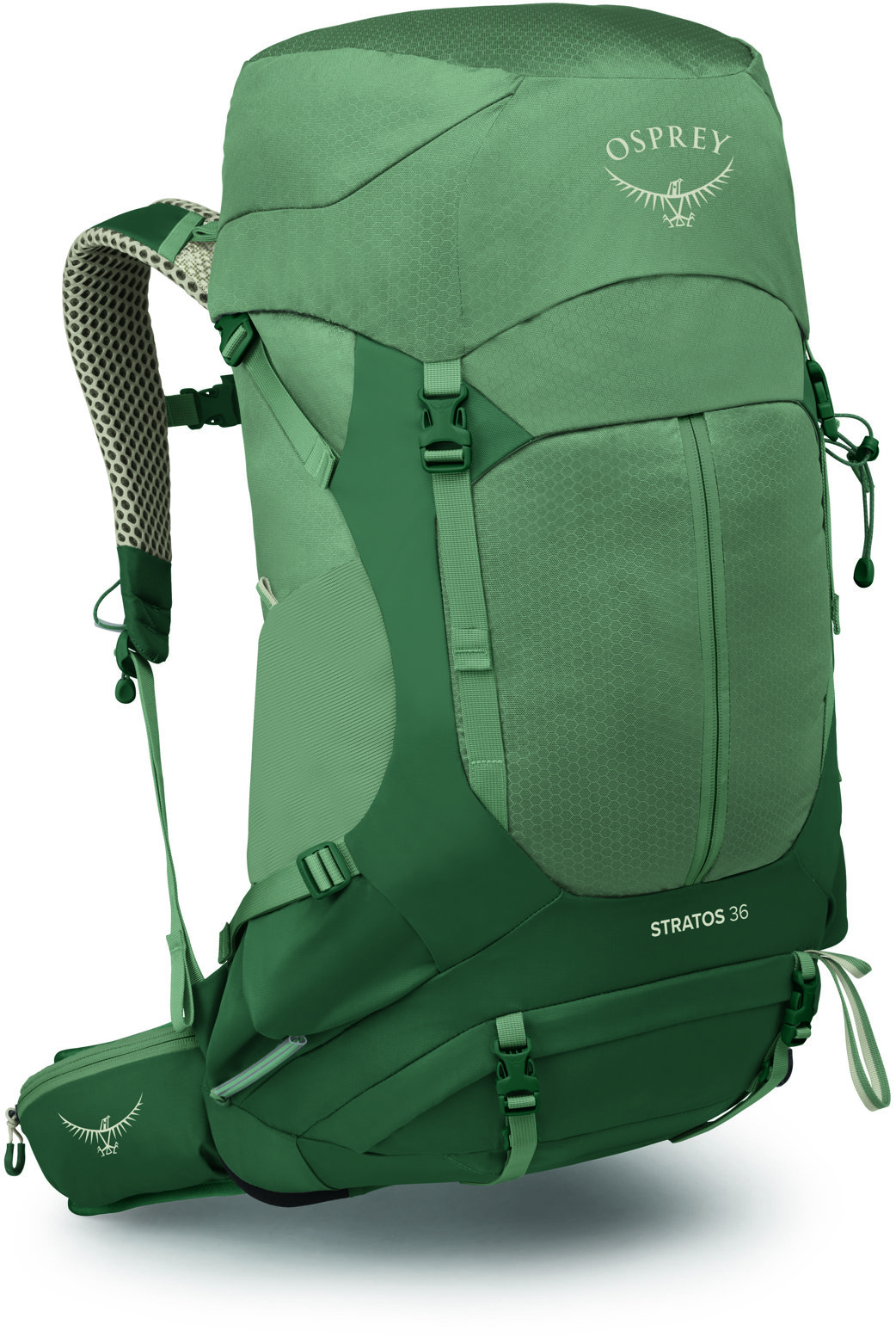 Osprey Stratos 36 Pine Leaf Green