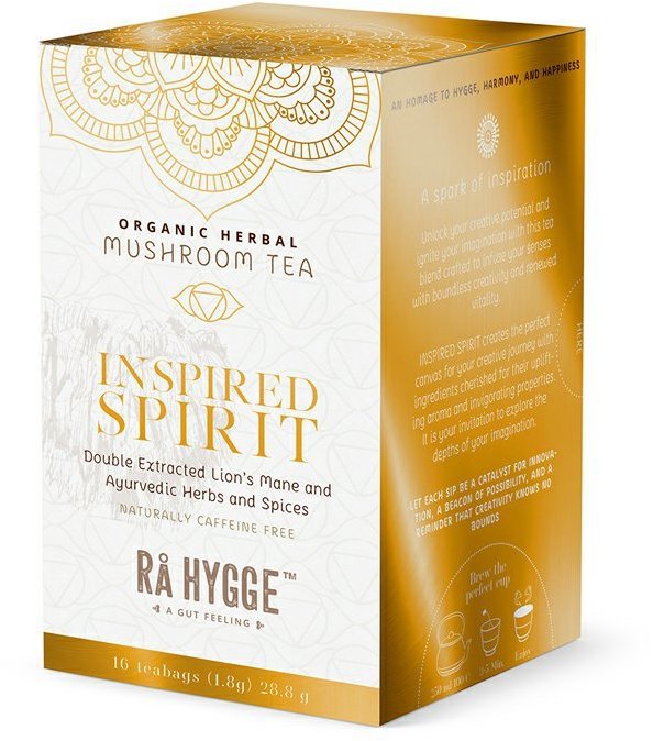 Ra Hygge BIO Inspired Spirit bylinný čaj s Lion´s mane 16 ks