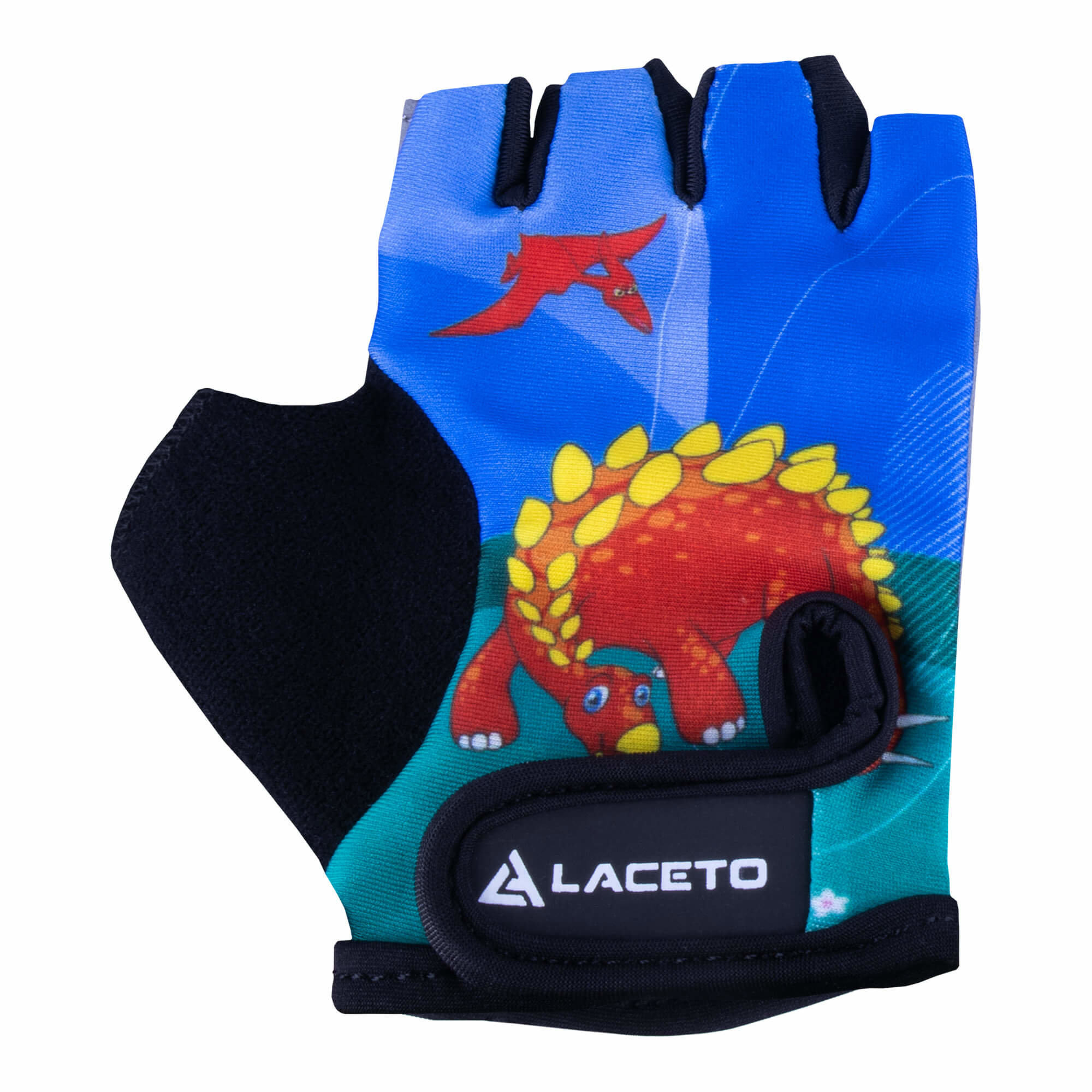 LACETO DINO – 3XS