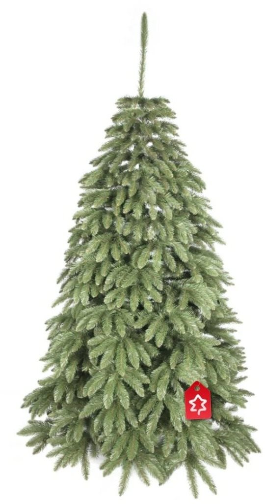 Smrek Kaukazský 2D 150 cm