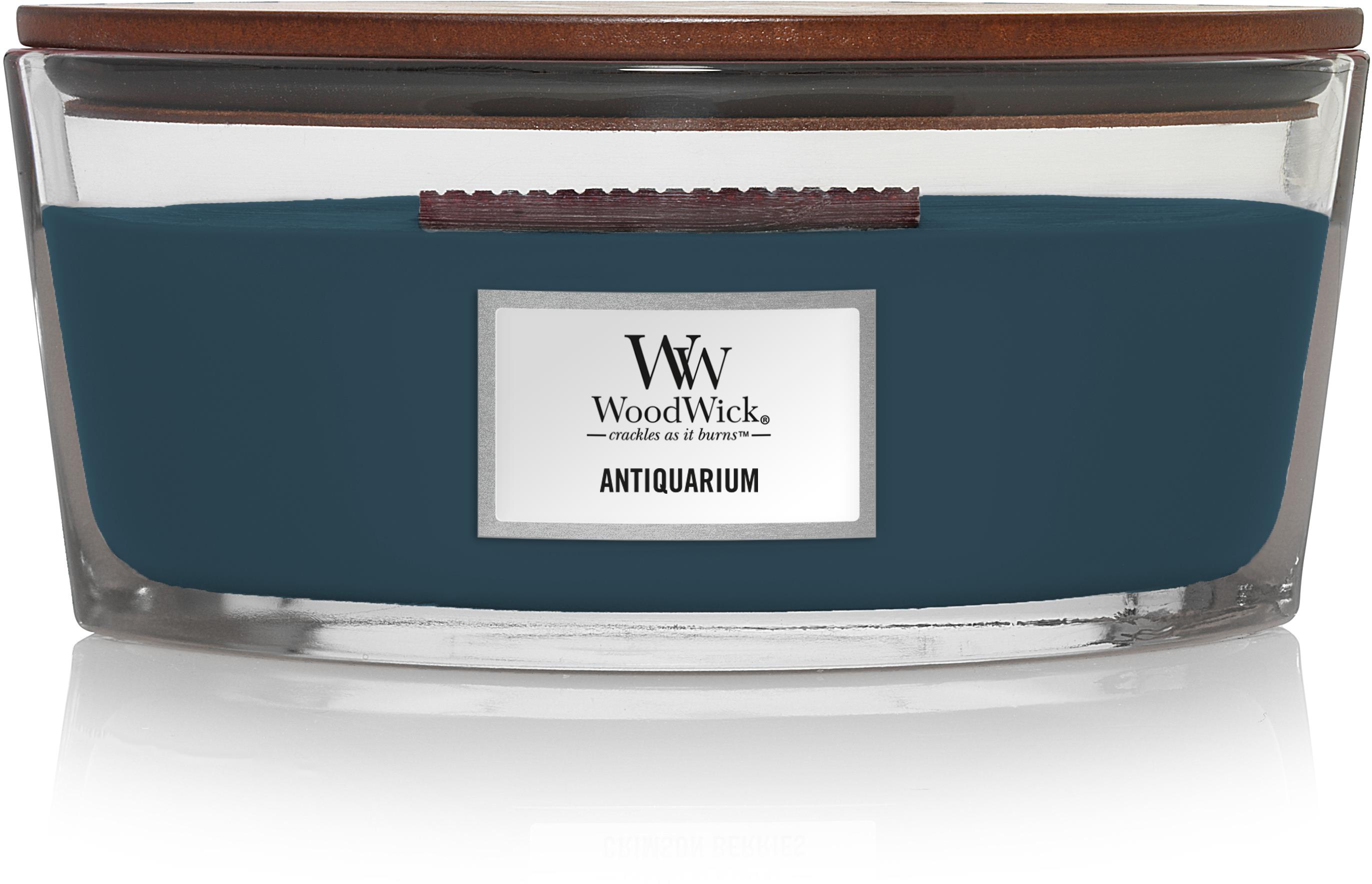 WOODWICK Loď Antiquarium 453 g