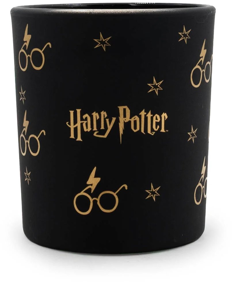 Harry Potter Glasses Black 135 g