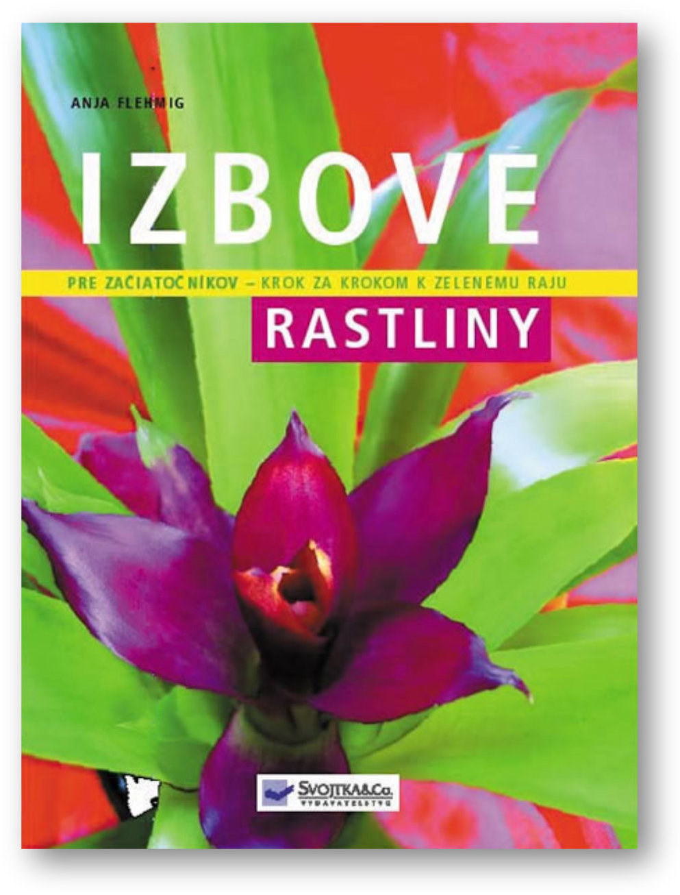 Izbové rastliny