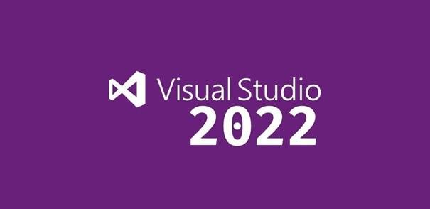 Microsoft Visual Studio Professional 2022 Charity