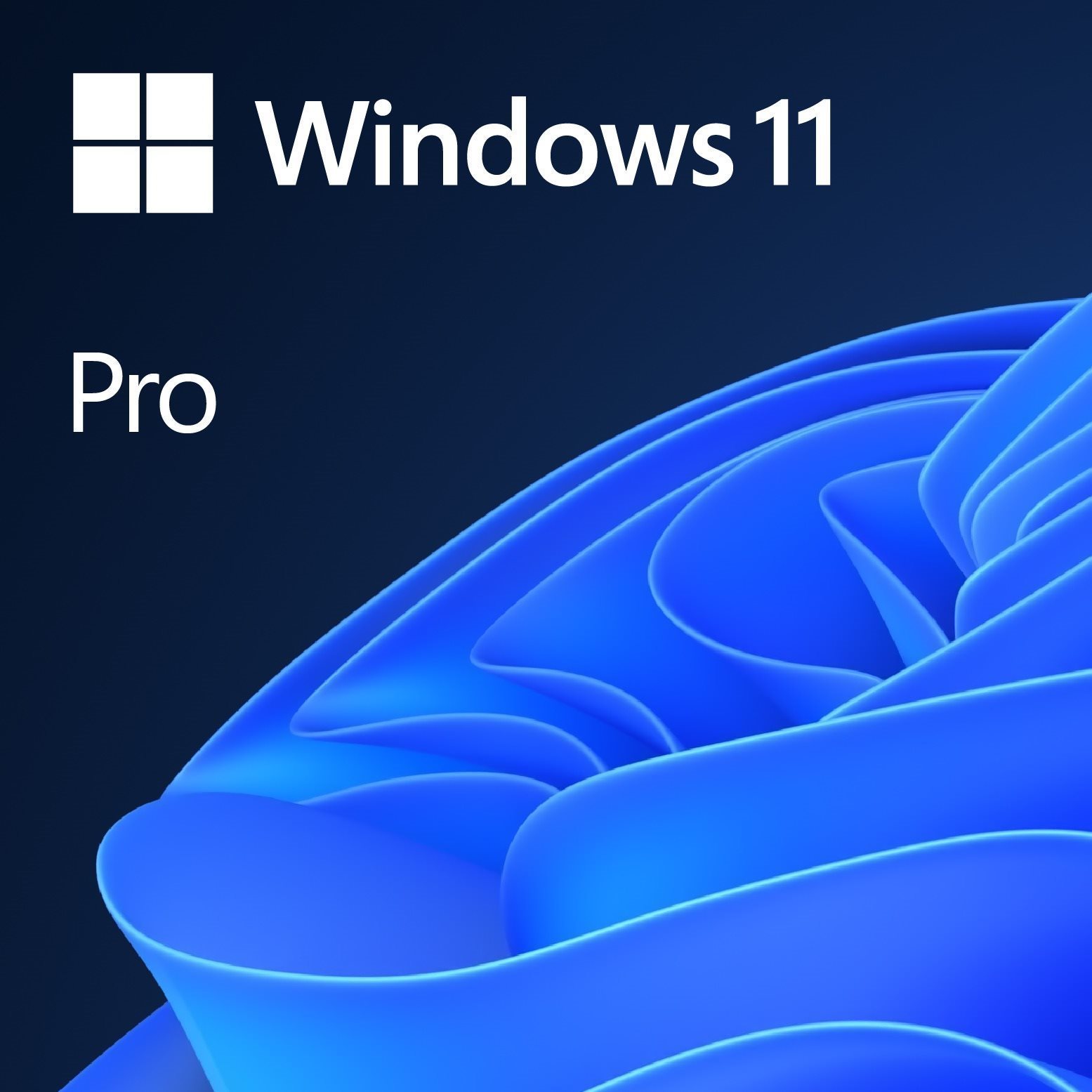 Microsoft Windows 11 Pro SK (OEM)