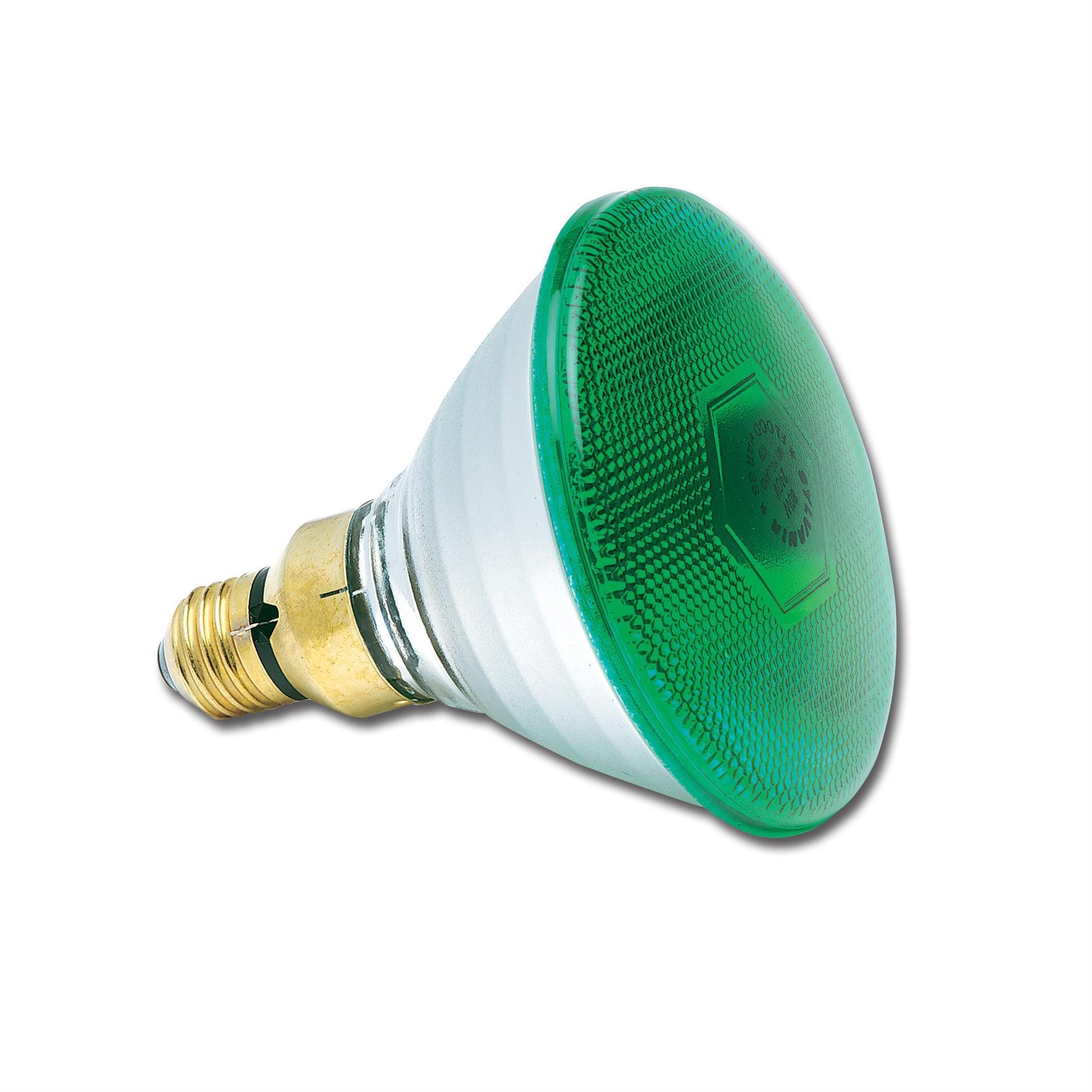 PAR38 240 V 80 W E27 FL30° Green