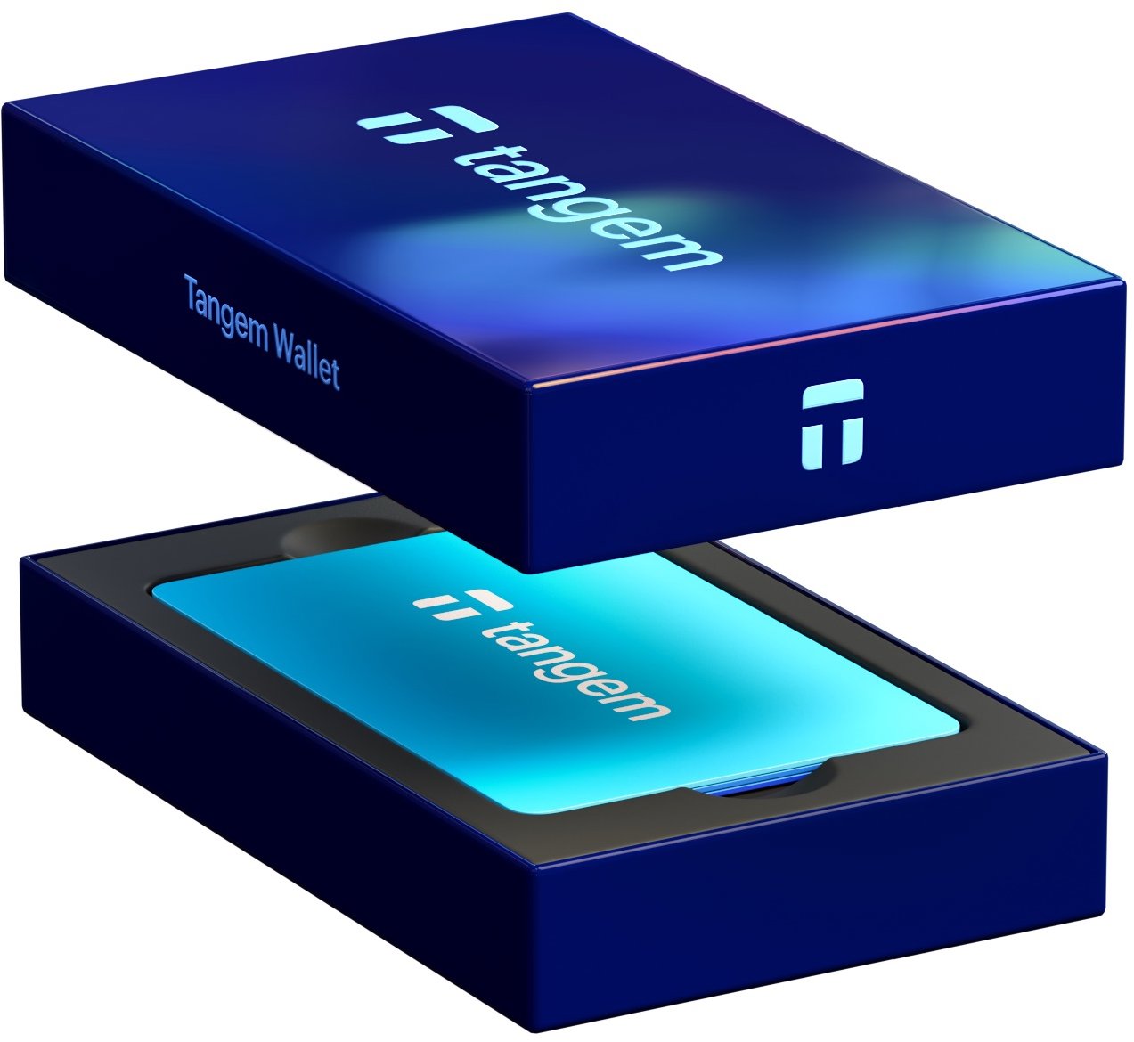 Tango Wallet 3 Card Set, Electric Night