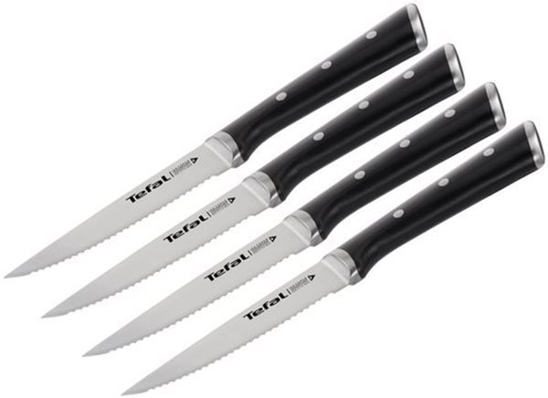 Tefal ICE FORCE 4× antikorový nôž na steak 11 cm