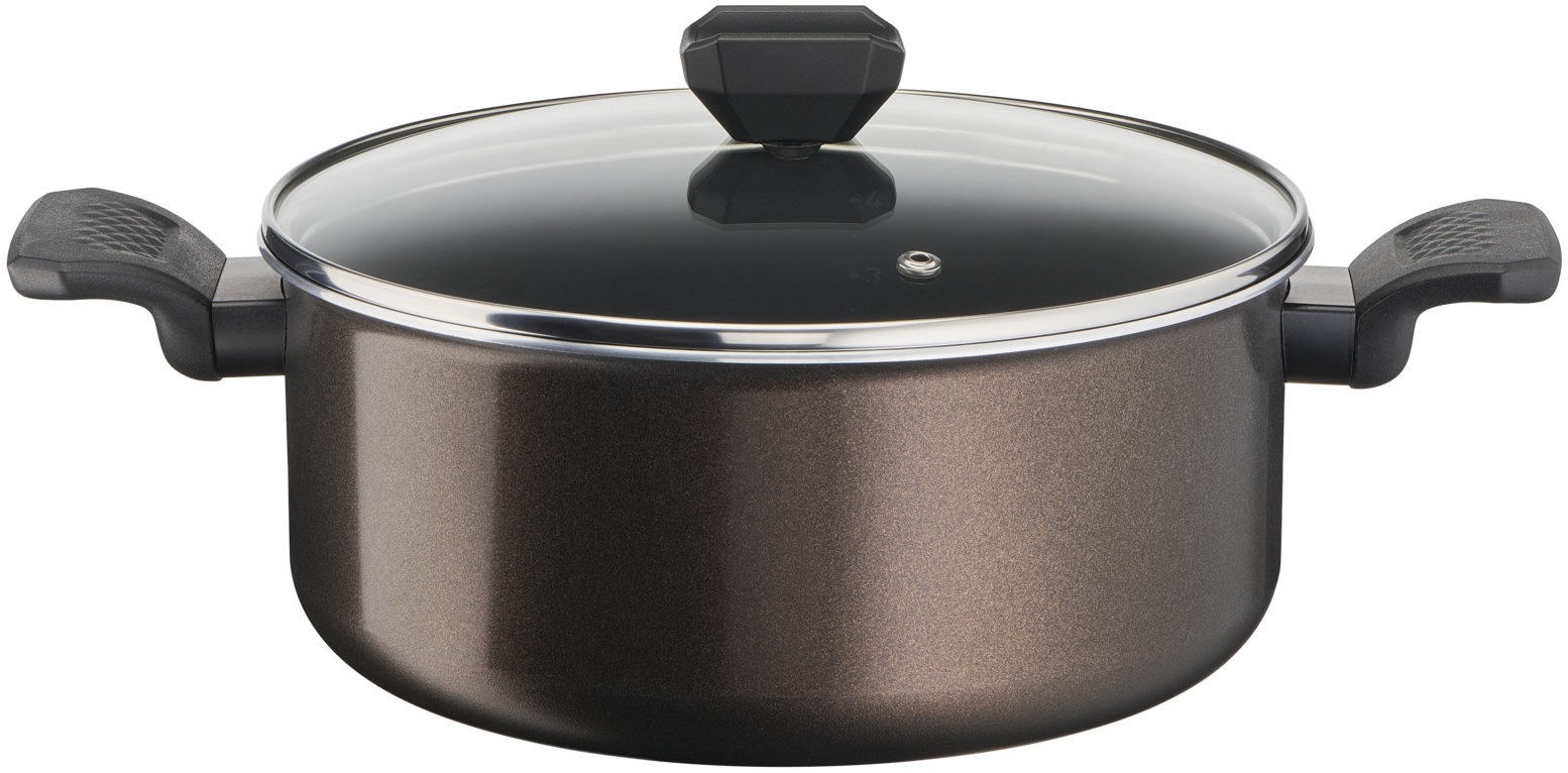 Tefal Kastról 24 cm Easy Cook & Clean B5544653