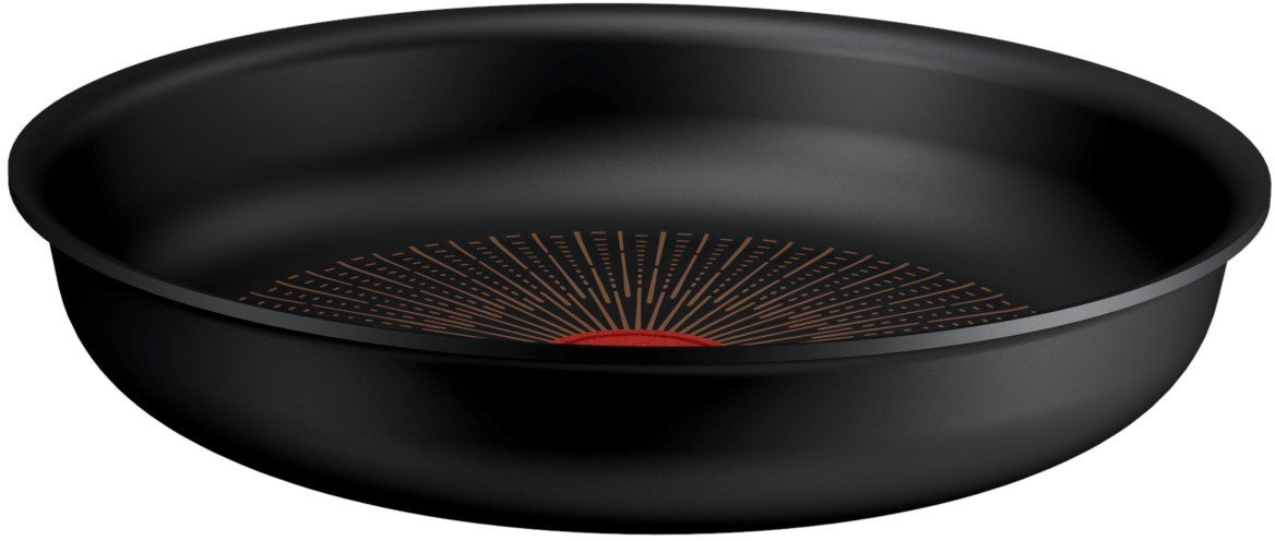 Tefal panvica 24 cm INGENIO Excellence Fusion P00504