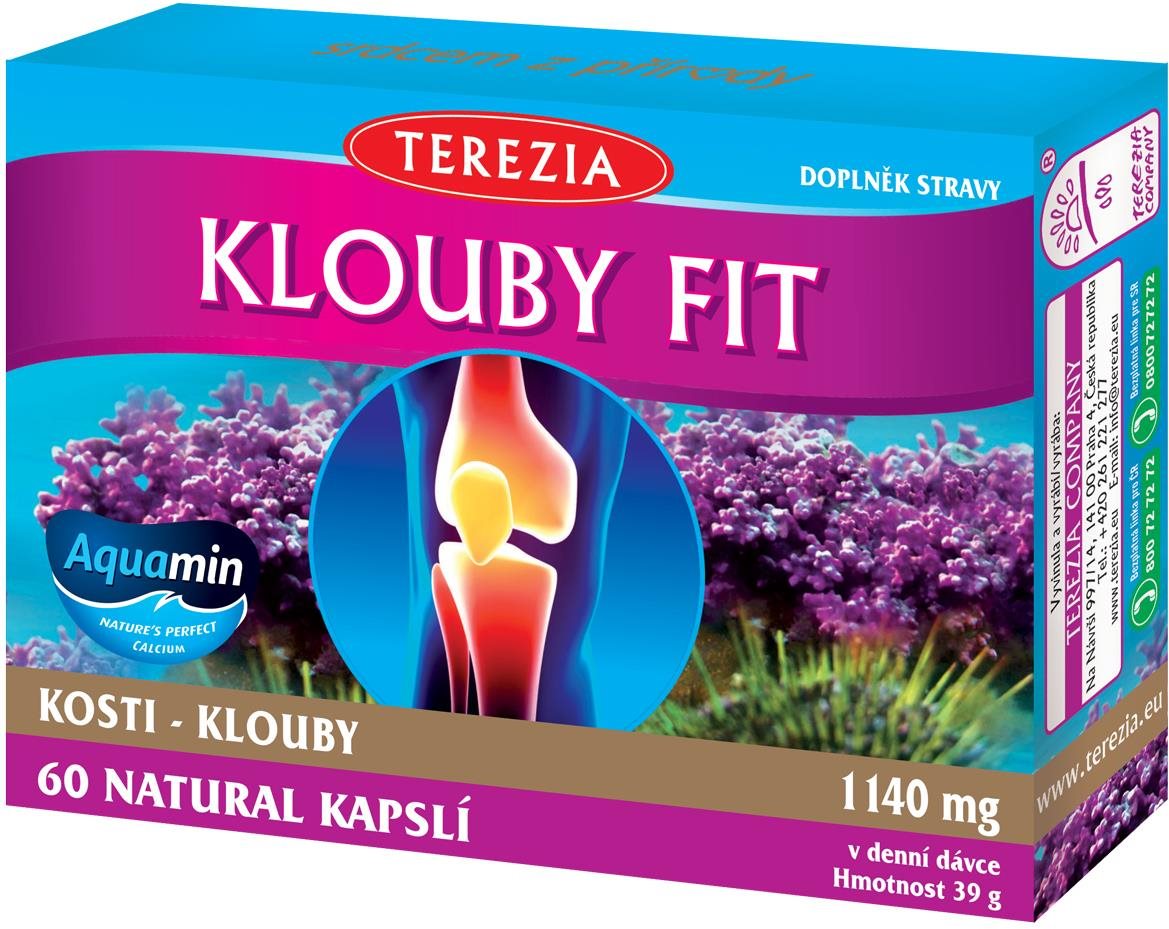 TEREZIA Kĺby Fit 60 kapsúl