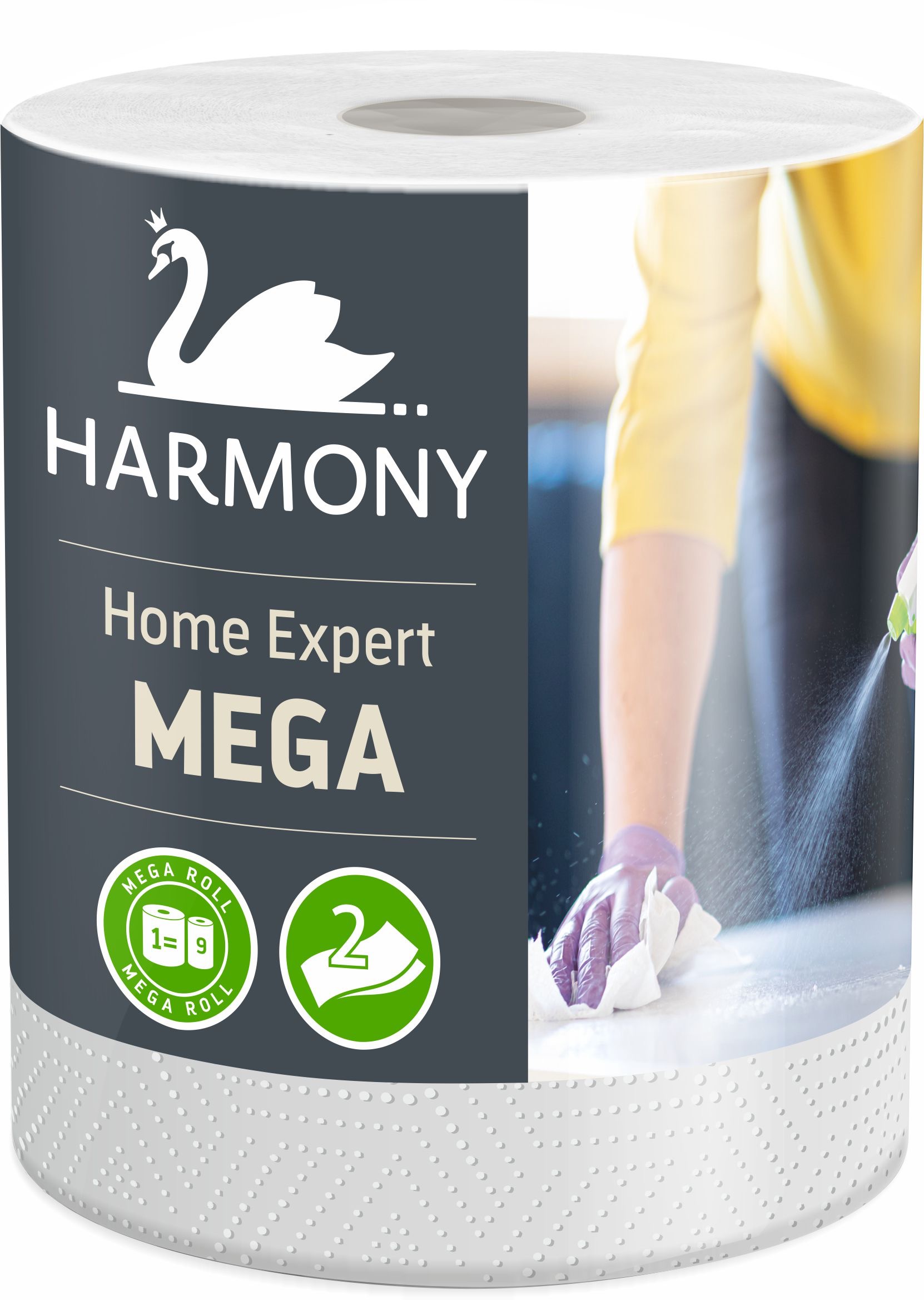 HARMONY Home Expert Mega (1 ks)