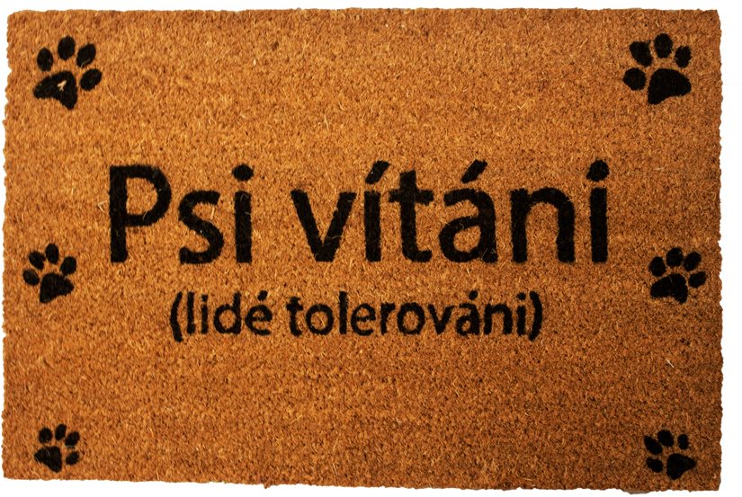 HOME ELEMENTS Rohožka s originálnym textom „Psi vítáni,“ 40 × 60 cm