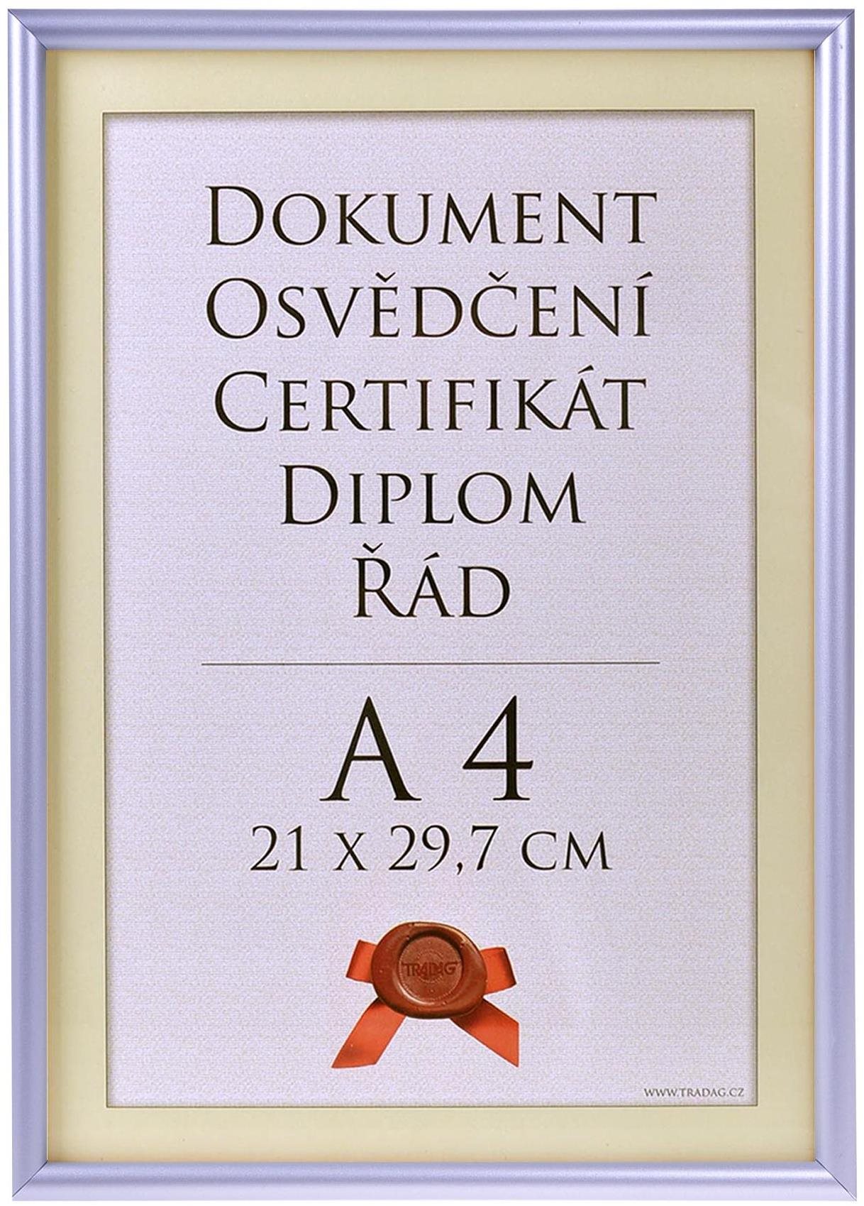 TRADAG Fotorámik 21 × 29,7 cm, strieborný