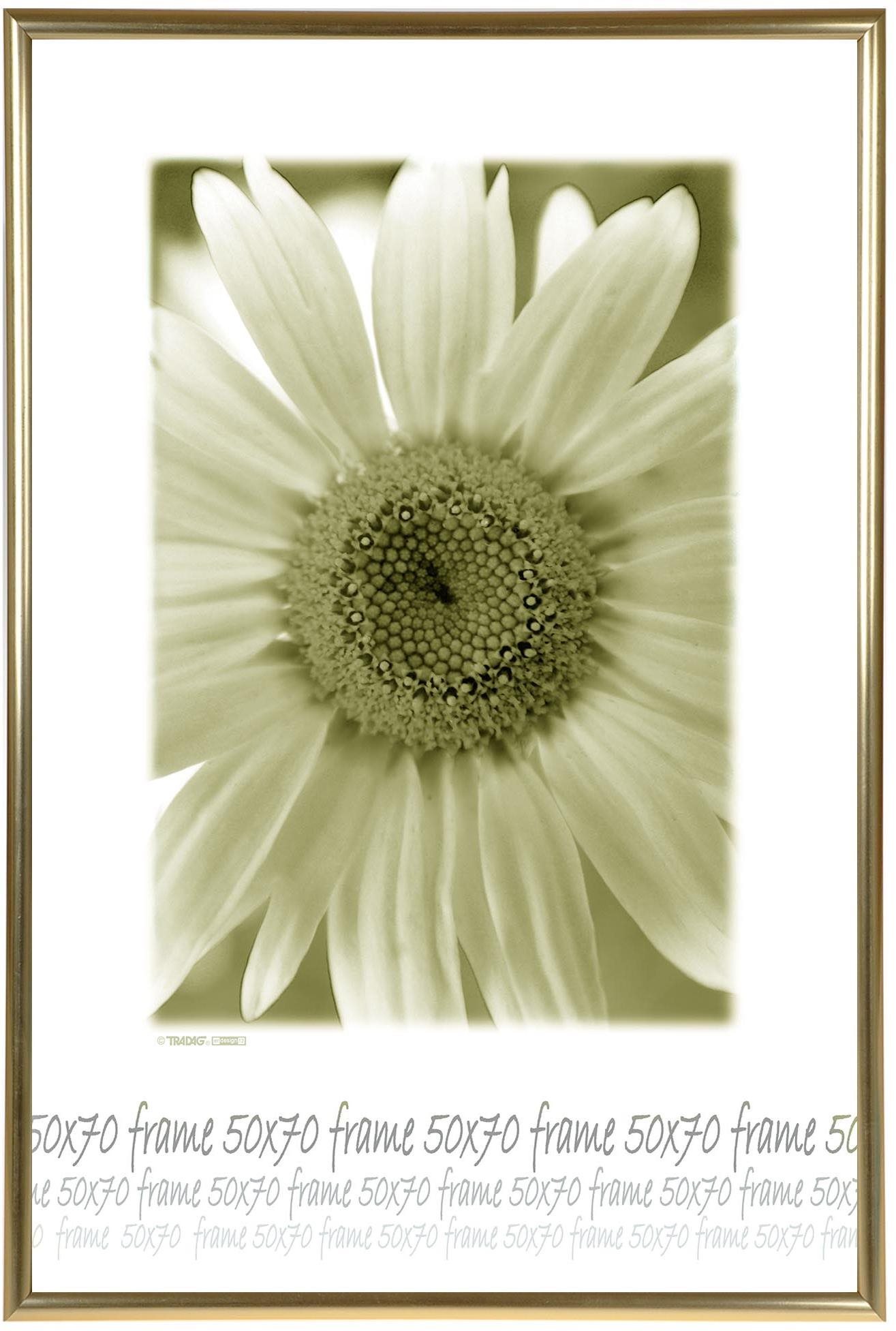 TRADAG Fotorámik 50 × 70 cm, zlatý