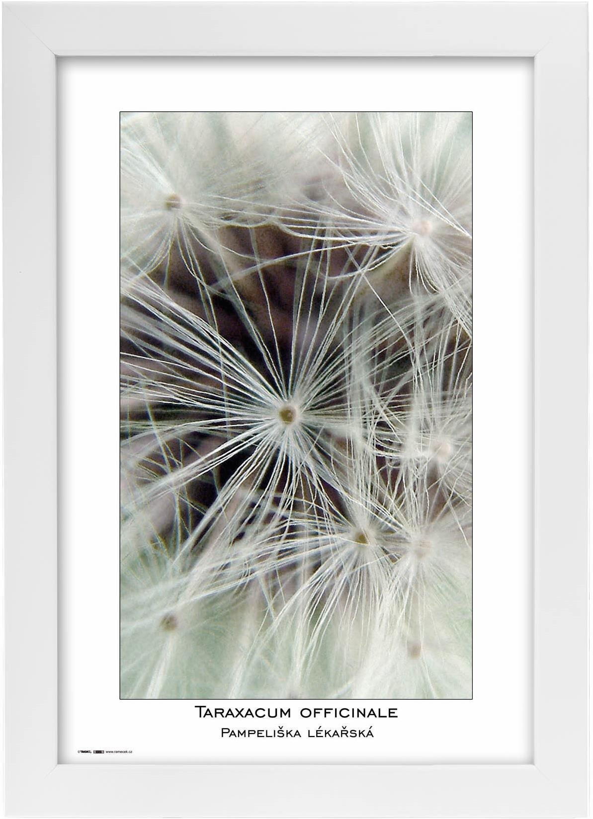TRADAG Natura 20 x 30 biely