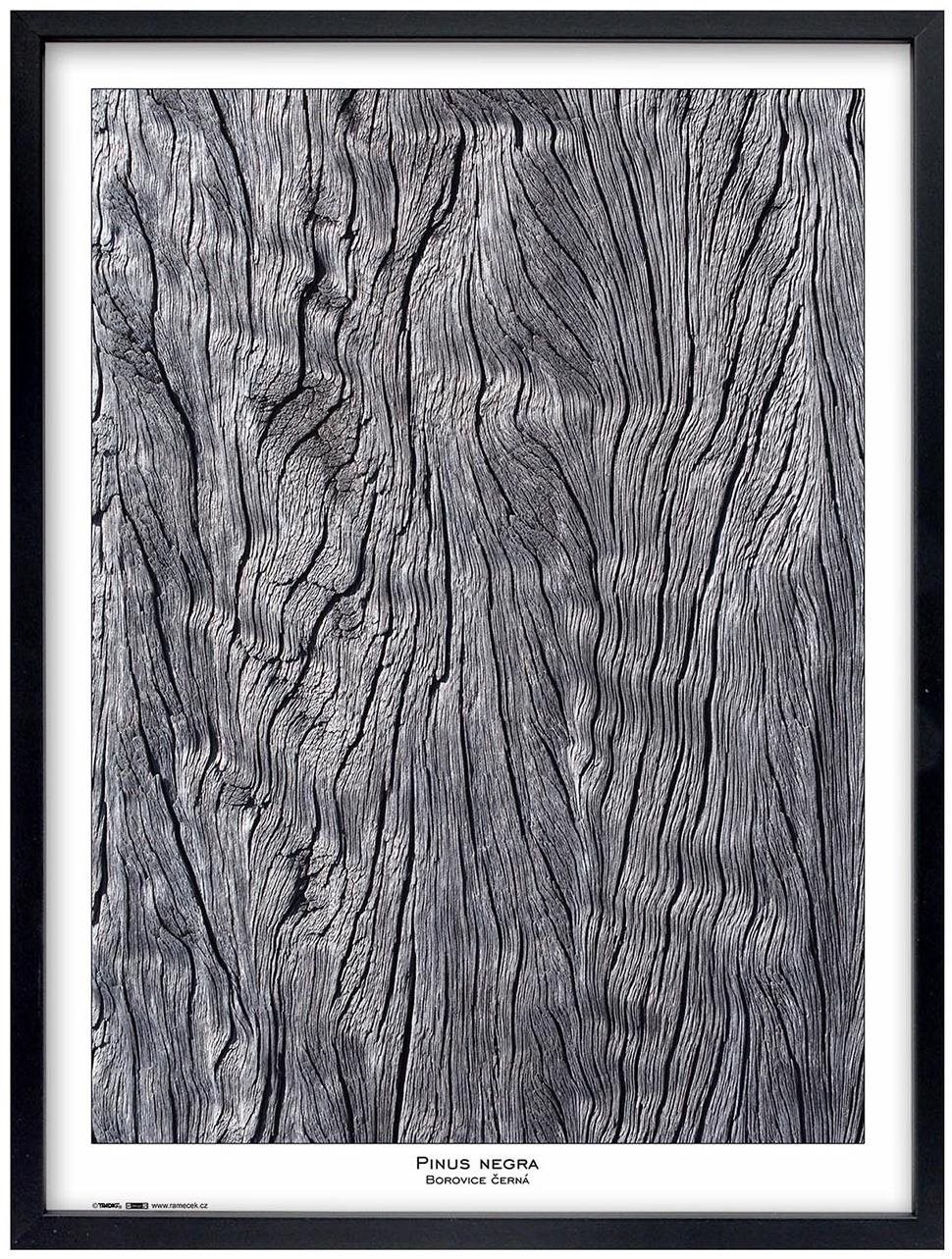 TRADAG Natura 60 × 80 čierny