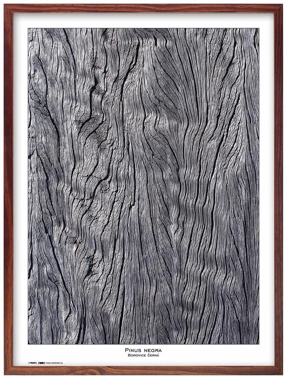 TRADAG Natura 60 × 80 hnedý