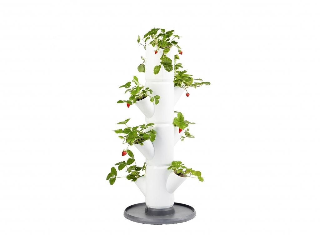 Gusta Garden SISSI STRAWBERRY starter samozavlažovací truhlík 4 poschodia, biely